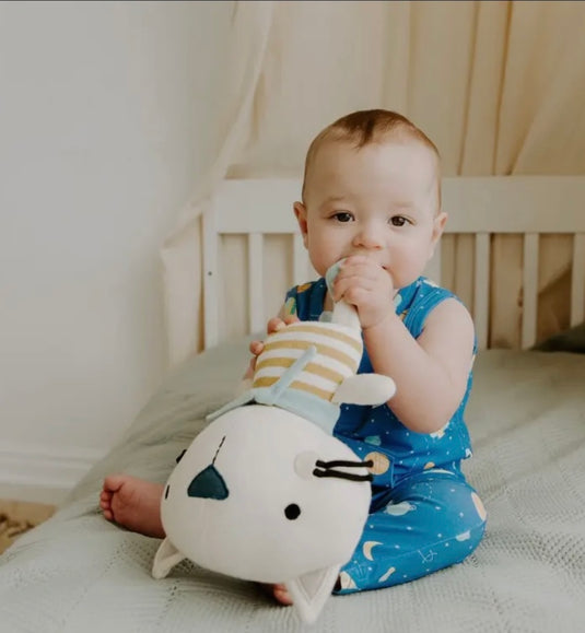 Handmade plush toy: Rémi the cat 