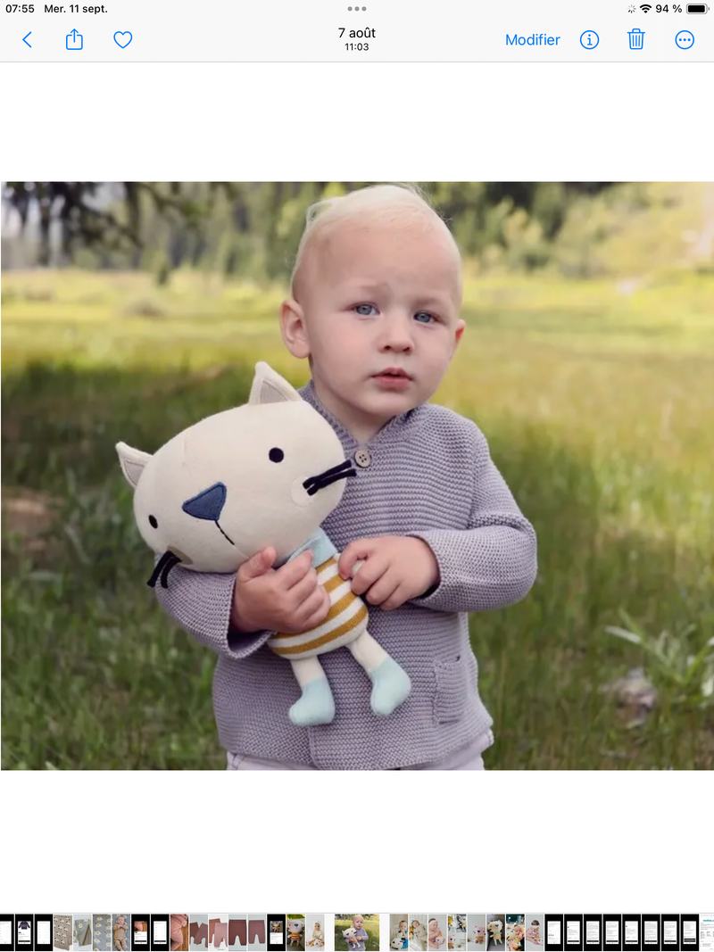 Load image into Gallery viewer, Handmade plush toy: Rémi the cat 
